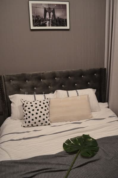 The Line Sukhumvit 101, Bangkok, 3009 Sukhumvit 101 Road, Bang Chak, Phra Khanong, Bangkok, 1 Bedroom, 33 sqm, Condo For Rent, by Patraporn Kansri, 500164050 - DDproperty.com