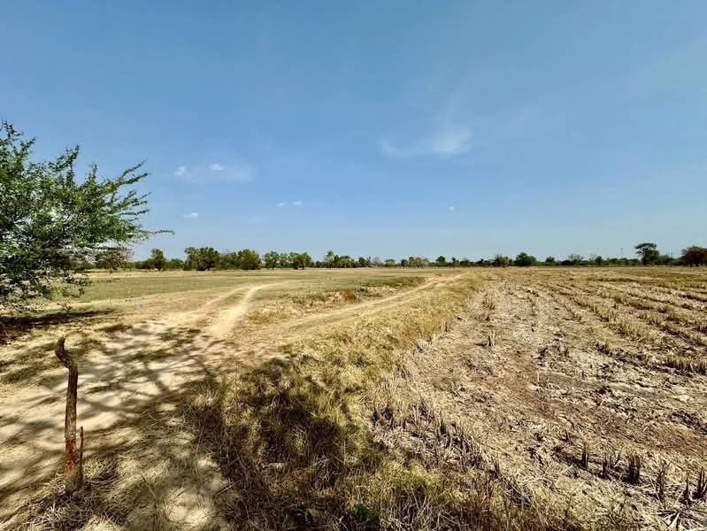 Large plot of land for sale in Khon Kaen, on Jenjobthit Road., Khon Kaen, เจนจบทิศ, Nong Mek, Nong Song Hong, Khon Kaen, , 38,076 sqm, Land For Sale, by Fareeda Thaipatan, 500164142 - DDproperty.com