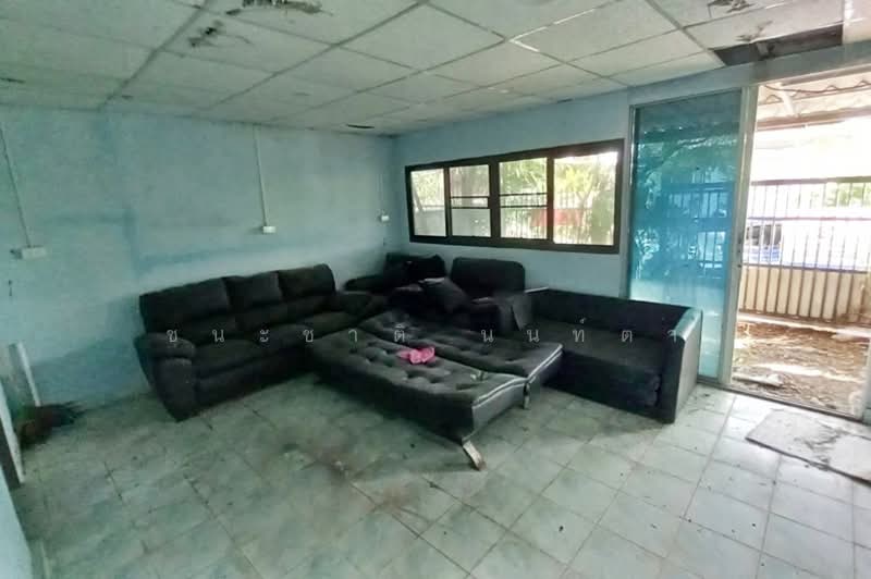 บ้านพรธิสาร 7, ปทุมธานี, ลำผักกูด, ธัญบุรี, ปทุมธานี, 240 ตร.ม., บ้านเดี่ยว ขาย, โดย ชนะชาติ นนท์ตา, 500164182 - DDproperty.com