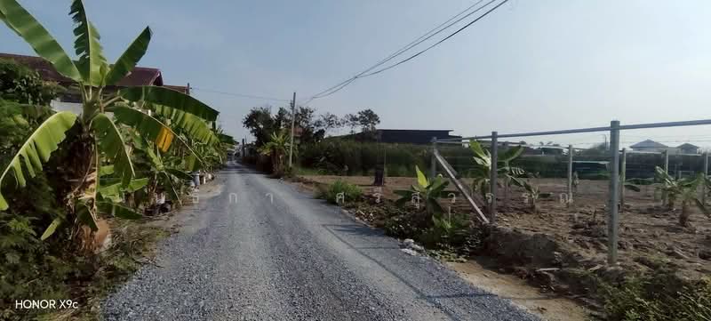 ที่ดินถมแล้ว ซอยวัดลาดปลาดุก, นนทบุรี, บางรักใหญ่, บางบัวทอง, นนทบุรี, 640 ตร.ม., ที่ดิน ขาย, โดย นันธิกา ศรีสุวรรณ, 500164252 - DDproperty.com