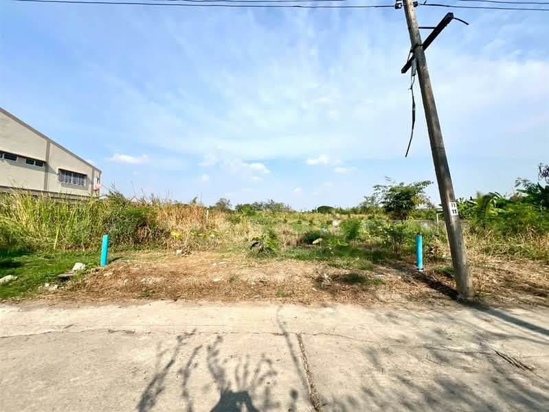 ที่ดินเปล่า 83.5 ตร.ว. ที่ดิน ซอยหมู่บ้านเมืองทอง1 ซอยปุณณวิถี35 ซอยสุขุมวิท101, Bangkok, Bang Chak, Phra Khanong, Bangkok, , 332 sqm, Land For Sale, by คุณ วีนัสรา บุตรพา (เมล), 500164312 - DDproperty.com