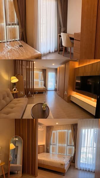 Aspire Sukhumvit-Rama 4, Bangkok, 4404 Rama 4 Road, Phra Kanong, Khlong Toei, Bangkok, 1 Bedroom, 31 sqm, Condo For Rent, by Napatsawan Tamjorhor, 500164330 - DDproperty.com