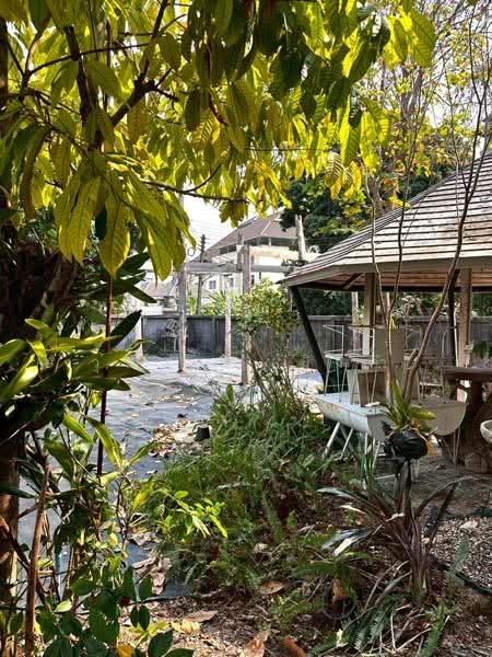 ให้เช่า - ช้างเผือก, เชียงใหม่