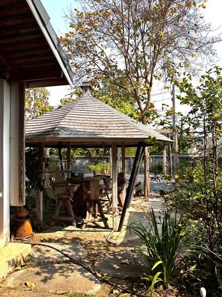 ให้เช่า - ช้างเผือก, เชียงใหม่