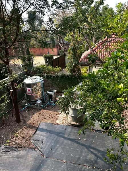 For Rent - Changphueak, Chiang Mai