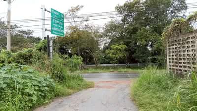 ขาย - ที่ดินปักธงชัย นครราชสีมา, นครราชสีมา