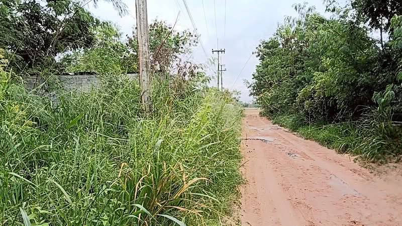 For Sale - ที่ดินปักธงชัย นครราชสีมา, Nakhon Ratchasima