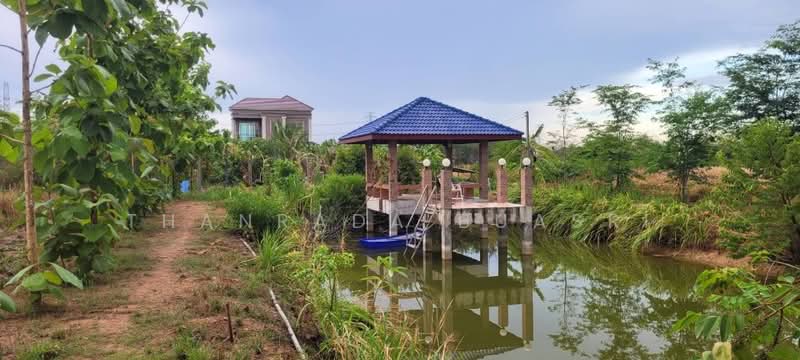 5-BR House, Prachuap Khiri Khan, Nong Phap, Hua Hin, Prachuap Khiri Khan, 5 Bedrooms, 411 sqm, Single Detached House For Sale, by Thanrada Buasri, 500164412 - DDproperty.com