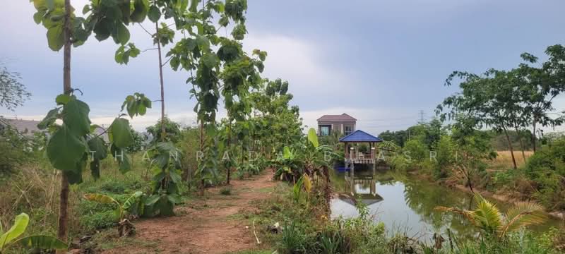 บ้าน 5-ห้องนอน, ประจวบคีรีขันธ์, หนองพลับ, หัวหิน, ประจวบคีรีขันธ์, 411 ตร.ม., บ้านเดี่ยว ขาย, โดย Thanrada Buasri, 500164412 - DDproperty.com