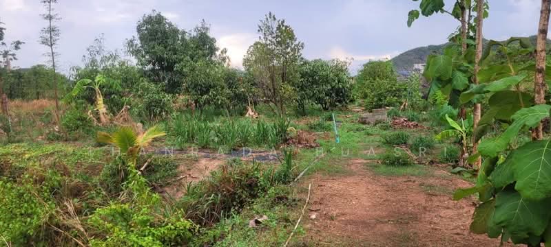 5-BR House, Prachuap Khiri Khan, Nong Phap, Hua Hin, Prachuap Khiri Khan, 5 Bedrooms, 411 sqm, Single Detached House For Sale, by Thanrada Buasri, 500164412 - DDproperty.com