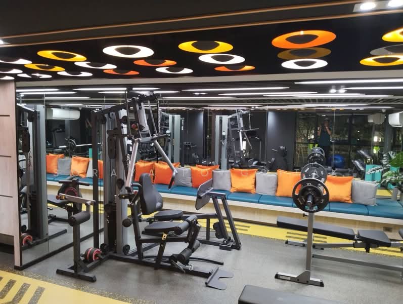 Plum Condo Sukhumvit 97/1, Bangkok, 204 Soi Sukhumvit 97/1, Bang Chak, Phra Khanong, Bangkok, Studio, 22 sqm, Condo For Rent, by Soraya Pongpitak, 500164432 - DDproperty.com