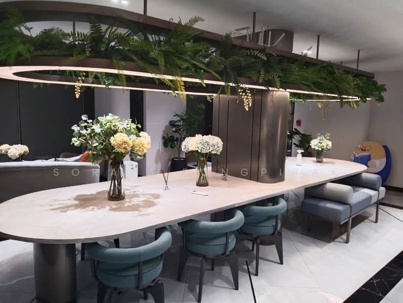 Plum Condo Sukhumvit 97/1, Bangkok, 204 Soi Sukhumvit 97/1, Bang Chak, Phra Khanong, Bangkok, Studio, 22 sqm, Condo For Rent, by Soraya Pongpitak, 500164432 - DDproperty.com