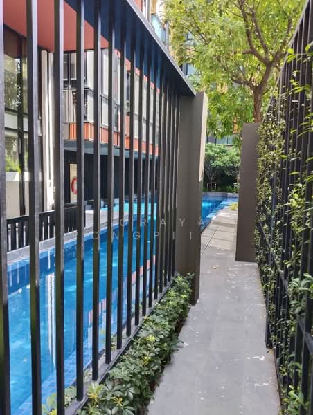 Plum Condo Sukhumvit 97/1, Bangkok, 204 Soi Sukhumvit 97/1, Bang Chak, Phra Khanong, Bangkok, Studio, 22 sqm, Condo For Rent, by Soraya Pongpitak, 500164432 - DDproperty.com