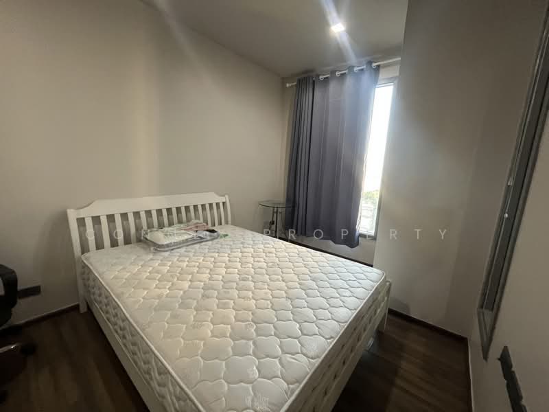 CEIL by Sansiri : ซีล บาย แสนสิริ, กรุงเทพ, 11 ซอยเอกมัย 12 ถนนสุขุมวิท 63, คลองตันเหนือ, วัฒนา, กรุงเทพ, 32 ตร.ม., คอนโด ให้เช่า, โดย Connex Property, 500164529 - DDproperty.com