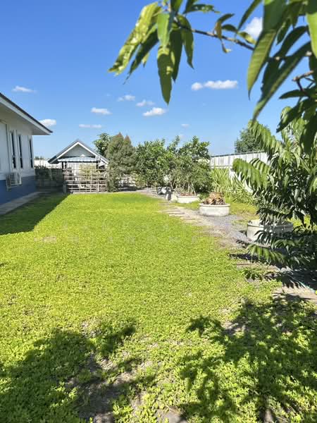 บ้านนอกโครงการ อำเภอหางดง, เชียงใหม่, สบแม่ข่า, หางดง, เชียงใหม่, 250 ตร.ม., บ้านเดี่ยว ขาย, โดย Kanphakpim Chiangmai Nice Home, 500164539 - DDproperty.com