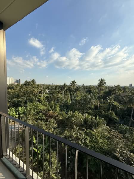 BEAT Bangwa Interchange, Bangkok, Thoetthai  Road, Bang Wa, Phasi Charoen, Bangkok, 1 Bedroom, 30 sqm, Condo For Rent, by ศิริวรรณ เผือกใจแผ้ว, 500164609 - DDproperty.com