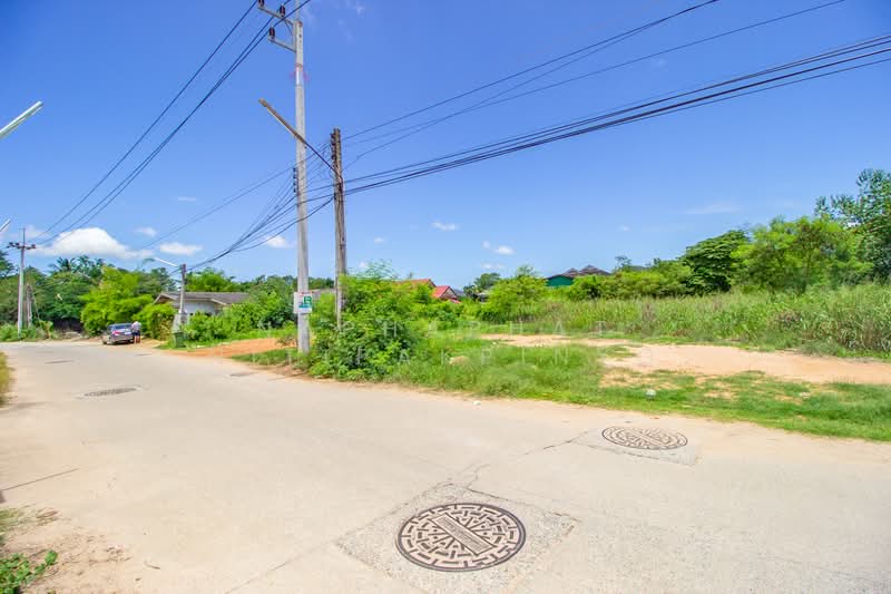 บางเสร่, ชลบุรี, บางเสร่, สัตหีบ, ชลบุรี, 316 ตร.ม., ที่ดิน ขาย, โดย Naphaphat Nitipakpinyo, 500164612 - DDproperty.com