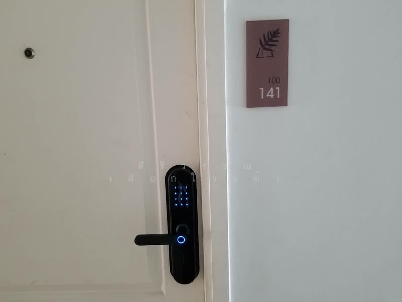 Summer Garden Chaeng Wattana, Nonthaburi, Chaeng Wattana-Parkkred 19 Chaeng Wattana Road, Khlong Klue, Pak Kret, Nonthaburi, 1 Bedroom, 34 sqm, Condo For Rent, by ศิริวรรณ เผือกใจแผ้ว, 500164619 - DDproperty.com