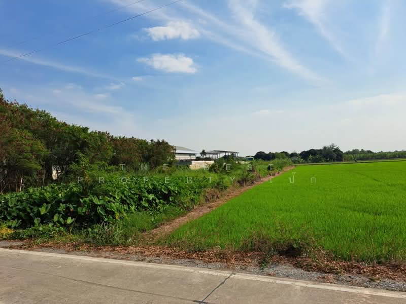 ที่ดินไทรน้อย นนทบุรี, Nonthaburi, Nong Prao Ngai, Sai Noi, Nonthaburi, , 420 sqm, Land For Sale, by The Best Property เป๊ก, 500164624 - DDproperty.com