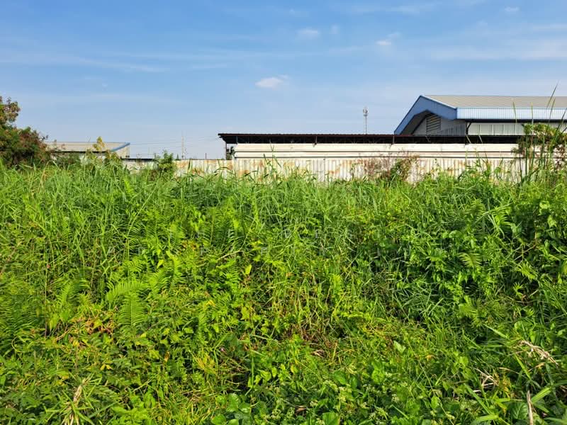 ที่ดินไทรน้อย นนทบุรี, Nonthaburi, Nong Prao Ngai, Sai Noi, Nonthaburi, , 420 sqm, Land For Sale, by The Best Property เป๊ก, 500164624 - DDproperty.com