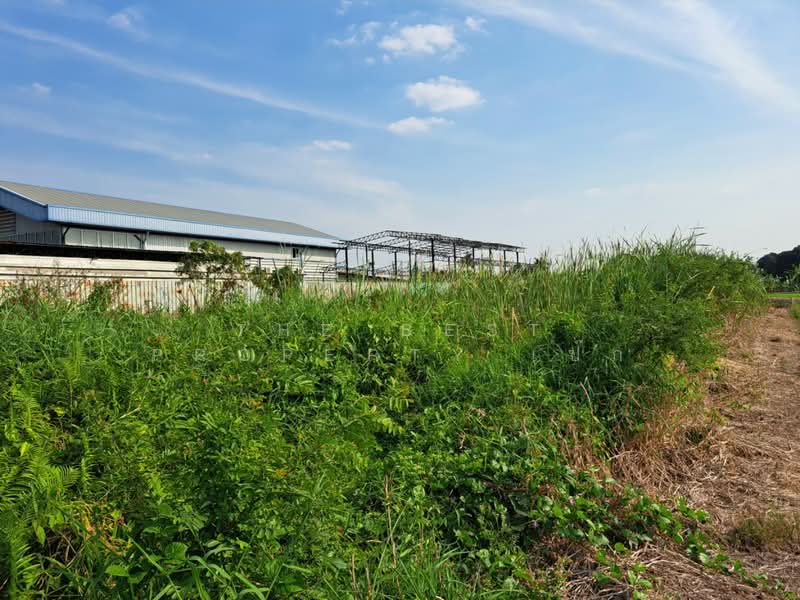 ที่ดินไทรน้อย นนทบุรี, นนทบุรี, หนองเพรางาย, ไทรน้อย, นนทบุรี, 420 ตร.ม., ที่ดิน ขาย, โดย The Best Property เป๊ก, 500164624 - DDproperty.com