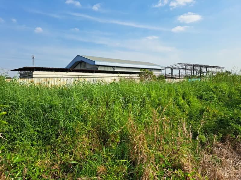 ที่ดินไทรน้อย นนทบุรี, Nonthaburi, Nong Prao Ngai, Sai Noi, Nonthaburi, , 420 sqm, Land For Sale, by The Best Property เป๊ก, 500164624 - DDproperty.com