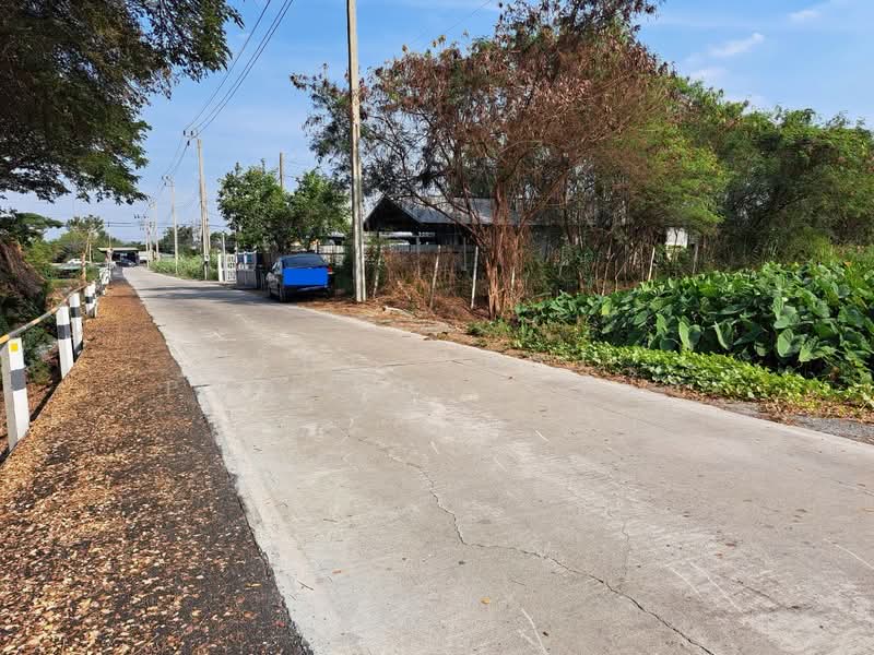 ที่ดินไทรน้อย นนทบุรี, Nonthaburi, Nong Prao Ngai, Sai Noi, Nonthaburi, , 420 sqm, Land For Sale, by The Best Property เป๊ก, 500164624 - DDproperty.com