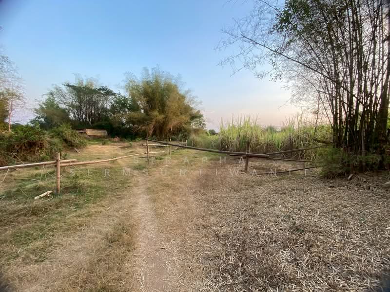 ขายที่ดิน 1 ไร่ 3 งาน 54 ตารางวา อ.เมือง จ.เลย, Loei, Muang, Muang Loei, Loei, , 3,016 sqm, Land For Sale, by สิราภา เสริมสันติวาณิช, 500164646 - DDproperty.com