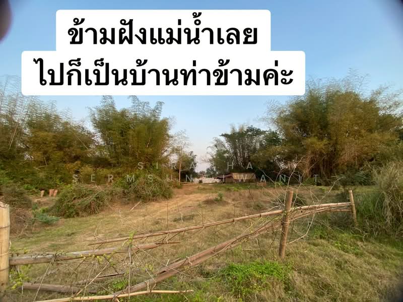 ขายที่ดิน 1 ไร่ 3 งาน 54 ตารางวา อ.เมือง จ.เลย, Loei, Muang, Muang Loei, Loei, , 3,016 sqm, Land For Sale, by สิราภา เสริมสันติวาณิช, 500164646 - DDproperty.com