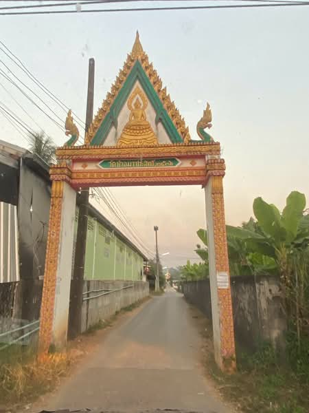 ขายที่ดิน 1 ไร่ 3 งาน 54 ตารางวา อ.เมือง จ.เลย, Loei, Muang, Muang Loei, Loei, , 3,016 sqm, Land For Sale, by สิราภา เสริมสันติวาณิช, 500164646 - DDproperty.com