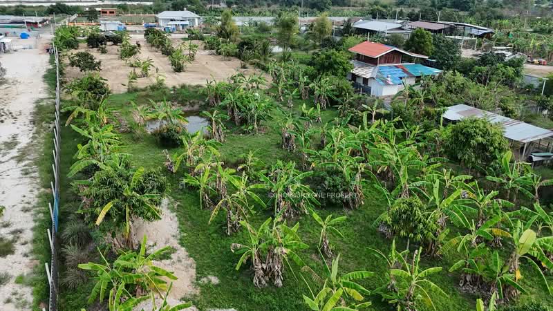 ขายที่ดิน 3 ไร่ ทำเลดี นาพร้าว ศรีราชา, Chon Buri (Pattaya), Surasak, Si Racha, Chon Buri (Pattaya), , 4,800 sqm, Land For Sale, by Dusit Saengfa, 500164696 - DDproperty.com