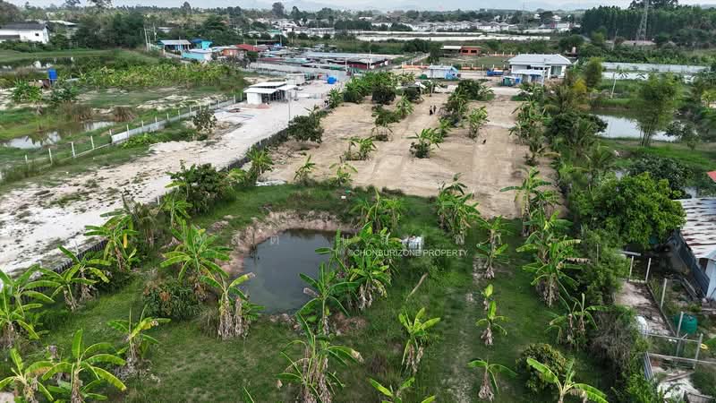 ขายที่ดิน 3 ไร่ ทำเลดี นาพร้าว ศรีราชา, Chon Buri (Pattaya), Surasak, Si Racha, Chon Buri (Pattaya), , 4,800 sqm, Land For Sale, by Dusit Saengfa, 500164696 - DDproperty.com