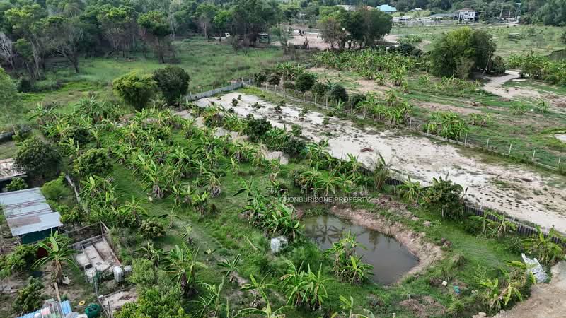 ขายที่ดิน 3 ไร่ ทำเลดี นาพร้าว ศรีราชา, Chon Buri (Pattaya), Surasak, Si Racha, Chon Buri (Pattaya), , 4,800 sqm, Land For Sale, by Dusit Saengfa, 500164696 - DDproperty.com