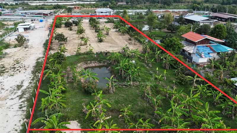 ขายที่ดิน 3 ไร่ ทำเลดี นาพร้าว ศรีราชา, Chon Buri (Pattaya), Surasak, Si Racha, Chon Buri (Pattaya), , 4,800 sqm, Land For Sale, by Dusit Saengfa, 500164696 - DDproperty.com