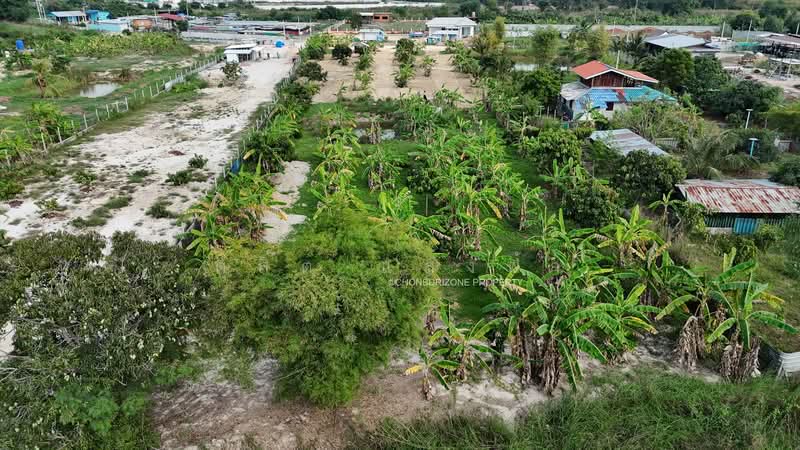ขายที่ดิน 3 ไร่ ทำเลดี นาพร้าว ศรีราชา, Chon Buri (Pattaya), Surasak, Si Racha, Chon Buri (Pattaya), , 4,800 sqm, Land For Sale, by Dusit Saengfa, 500164696 - DDproperty.com