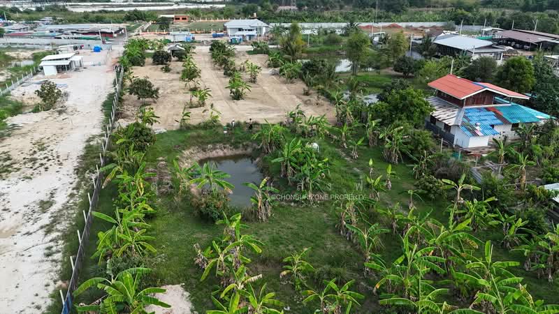 ขายที่ดิน 207 ตรว. ทำเลดีติดถนน 2 ด้าน ใกล้ 7-11 นาพร้าว ศรีราชา, Chon Buri (Pattaya), Surasak, Si Racha, Chon Buri (Pattaya), , 828 sqm, Land For Sale, by Dusit Saengfa, 500164703 - DDproperty.com