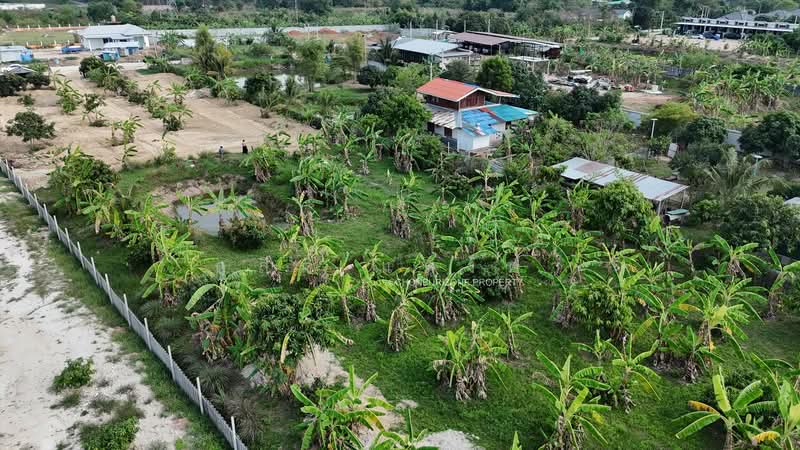 ขายที่ดิน 207 ตรว. ทำเลดีติดถนน 2 ด้าน ใกล้ 7-11 นาพร้าว ศรีราชา, Chon Buri (Pattaya), Surasak, Si Racha, Chon Buri (Pattaya), , 828 sqm, Land For Sale, by Dusit Saengfa, 500164703 - DDproperty.com