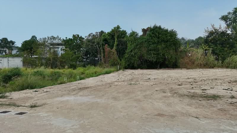 ขายที่ดินทำเลดี 193 ตรว. ติดถนน ใกล้ เจ ปาร์ค ศรีราชา, ชลบุรี, สุรศักดิ์, ศรีราชา, ชลบุรี, 772 ตร.ม., ที่ดิน ขาย, โดย ดุสิต แสงฟ้า, 500164724 - DDproperty.com