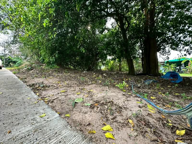 For Sale - ที่ดินเปล่า ถนนเก้ากิโล ซอยบ่อก๊อก ศรีราชา, Chon Buri (Pattaya)