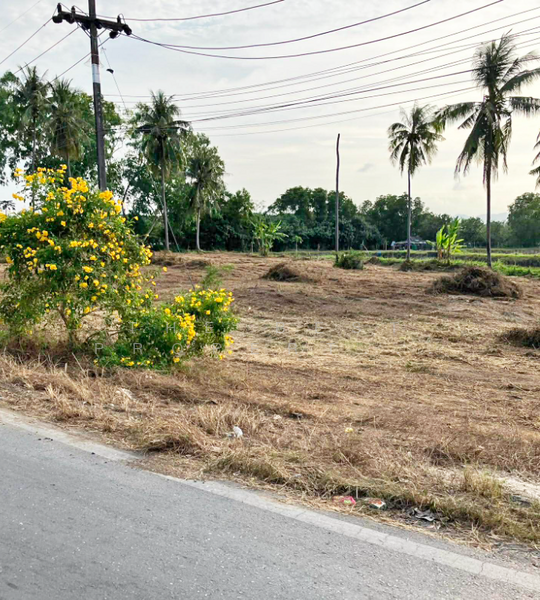 ที่ดินสิชล นครศรีธรรมราช, นครศรีธรรมราช, ทุ่งใส, สิชล, นครศรีธรรมราช, 4,720 ตร.ม., ที่ดิน ขาย, โดย The Best Property ปอน, 500164797 - DDproperty.com