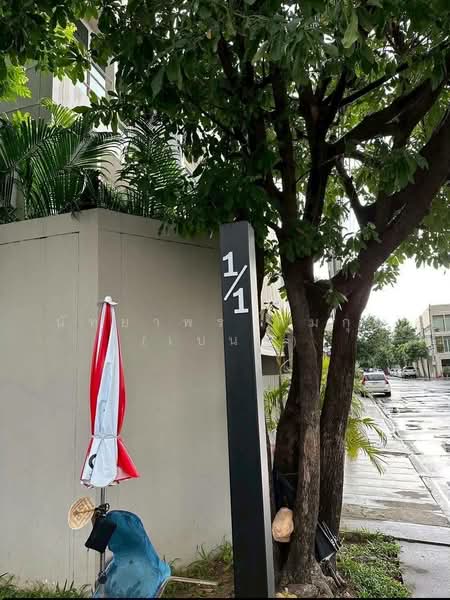 Noble Cube Pattanakarn : โนเบิล คิวบ์ พัฒนาการ, กรุงเทพ, ถนนพัฒนาการ, สวนหลวง, สวนหลวง, กรุงเทพ, 186 ตร.ม., ทาวน์เฮ้าส์ ให้เช่า, โดย นัทยาพร พึ่มกุล (เบนซ์), 500164811 - DDproperty.com