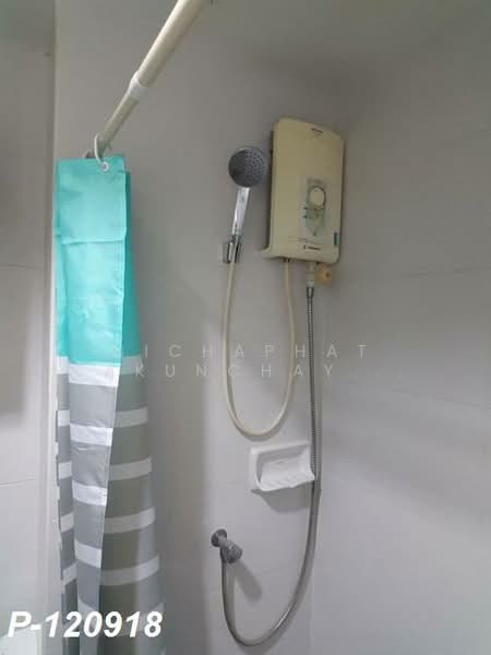 My Condo Sukhumvit 81 : มายคอนโด สุขุมวิท81, กรุงเทพ, ซอยสุขุมวิท 81 ถนนสุขุมวิท, บางจาก, พระโขนง, กรุงเทพ, 25 ตร.ม., คอนโด ให้เช่า, โดย Nichaphat Sakunchayapha, 500164826 - DDproperty.com