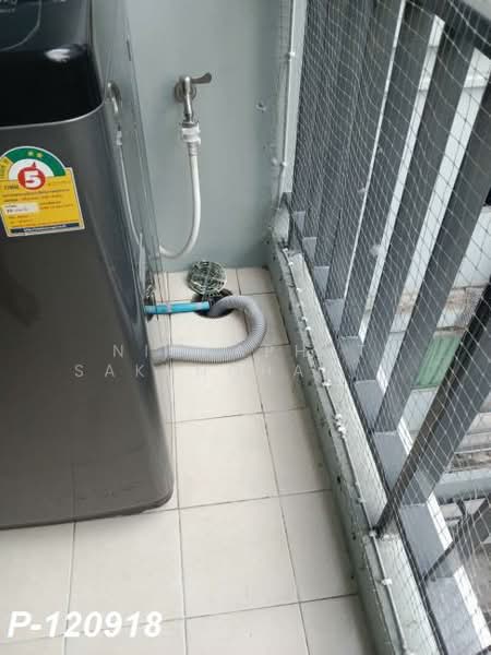 My Condo Sukhumvit 81, Bangkok, Soi Sukhumvit 81 Sukhumvit Road, Bang Chak, Phra Khanong, Bangkok, Studio, 25 sqm, Condo For Rent, by Nichaphat Sakunchayapha, 500164826 - DDproperty.com