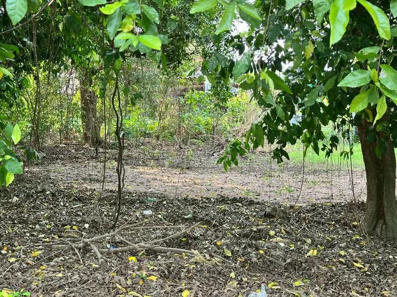 Land for sale in Sriracha, residential area, Soi Kao Kilo., Chon Buri (Pattaya), Surasak, Si Racha, Chon Buri (Pattaya), , 372 sqm, Land For Sale, by A House Property Co.,Ltd., 500164831 - DDproperty.com