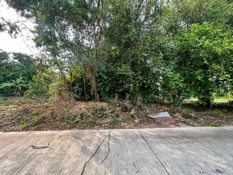 Land for sale in Sriracha, residential area, Soi Kao Kilo., Chon Buri (Pattaya), Surasak, Si Racha, Chon Buri (Pattaya), , 372 sqm, Land For Sale, by A House Property Co.,Ltd., 500164831 - DDproperty.com