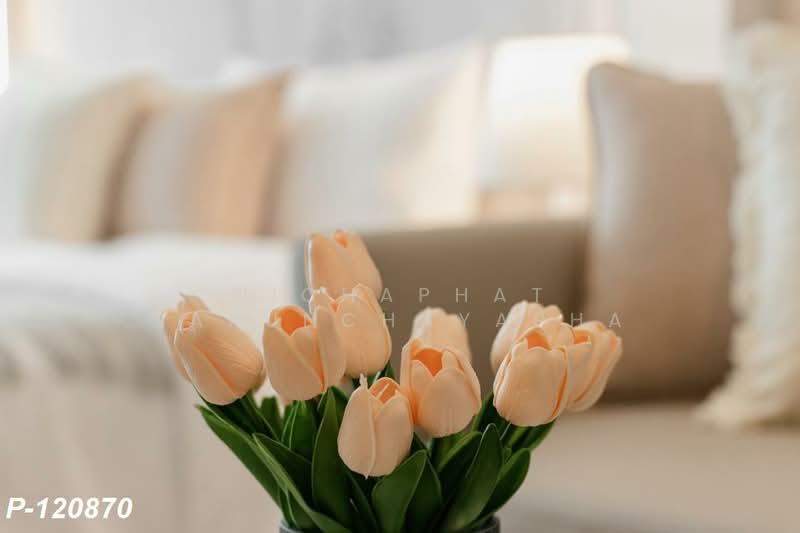 Regent Home Bangna : รีเจ้นท์ โฮม บางนา, กรุงเทพ, ถนน สรรพาวุธ, บางนาใต้, บางนา, กรุงเทพ, 28 ตร.ม., คอนโด ให้เช่า, โดย Nichaphat Sakunchayapha, 500164864 - DDproperty.com