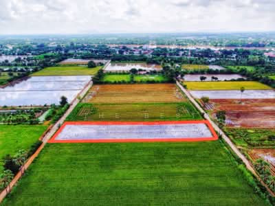 ขาย - ที่ดินสรรพยา ชัยนาท, ชัยนาท