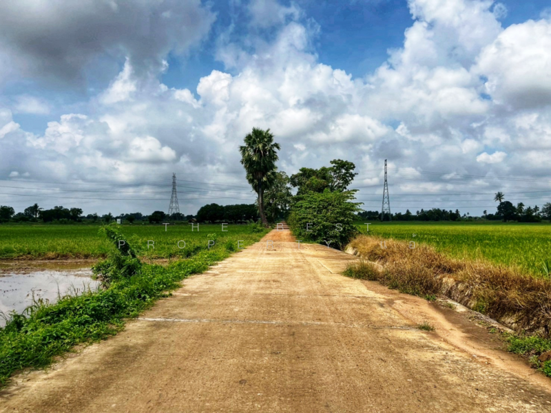 ที่ดินสรรพยา ชัยนาท, ชัยนาท, สรรพยา, สรรพยา, ชัยนาท, 5,220 ตร.ม., ที่ดิน ขาย, โดย The Best Property แอ้, 500164869 - DDproperty.com