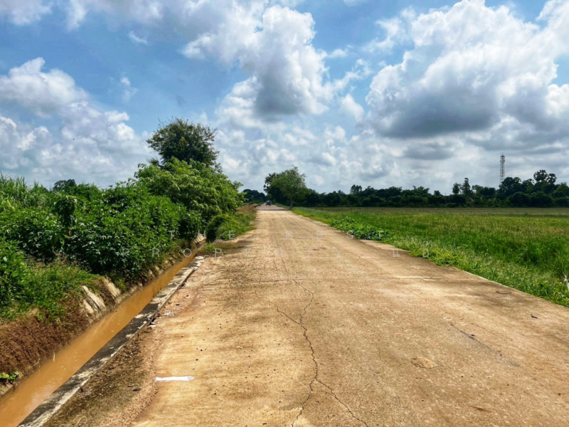 ที่ดินสรรพยา ชัยนาท, ชัยนาท, สรรพยา, สรรพยา, ชัยนาท, 5,220 ตร.ม., ที่ดิน ขาย, โดย The Best Property แอ้, 500164869 - DDproperty.com