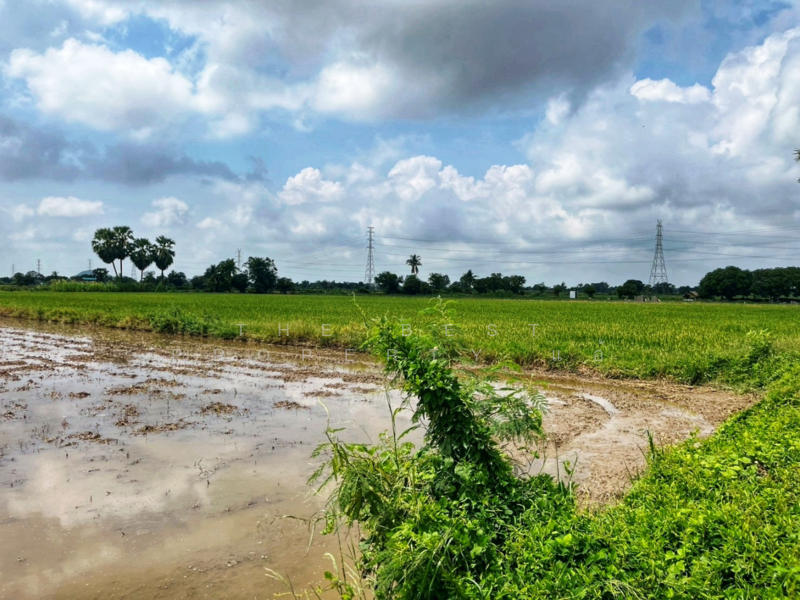 ที่ดินสรรพยา ชัยนาท, ชัยนาท, สรรพยา, สรรพยา, ชัยนาท, 5,220 ตร.ม., ที่ดิน ขาย, โดย The Best Property แอ้, 500164869 - DDproperty.com